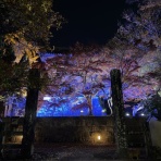 長崎＠諫早市民 ふくちゃんの食う・寝る・遊ぶ日記