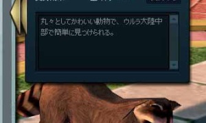 アライグマなんかいなかった