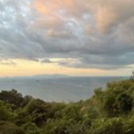 あるベーシストのつぶやき