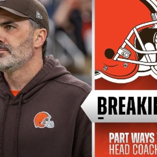 🐕 茶犬 🐕 NFLブログ