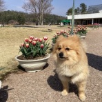 石になる地のふしぎ