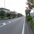 久しぶりの散歩道