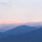 モフモフ山へいらっしゃい