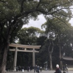 THE GLOBAL ENGLISH SCHOOLブログ