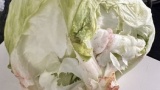 サンドイッチ作ってピクニックするでー（※画像あり）