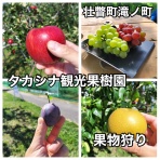 函館 気まぐれブログ