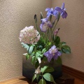 明日から始まります。