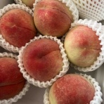 ◎あじさい荘は今日もワイワイしてる◎