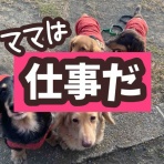 メルロコ一家の横須賀ストーリー