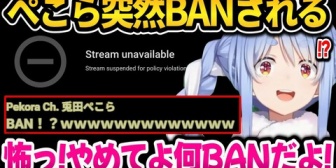 【ホロライブ】ぺこらいきなり誤BANされ焦るｗ魔法少女ノ魔女裁判※ネタバレ注意