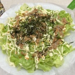  変な日本語を使っているので見られたくない(定期｡ - ののブログ。