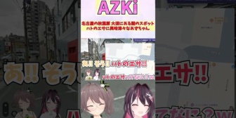 【ホロライブ】あずきち、名古屋の秋葉原=大須にある謎のスポット「ハトのエサ」に興味津々