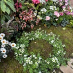 【言葉が変われば未来も変わる】