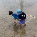今年の田んぼのこと🌱 記録