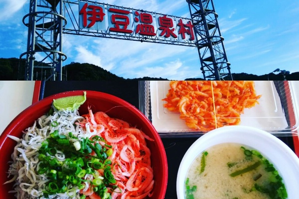 えるこの胃スリーブ切除術ダイエットblog 17年06月