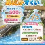 凸凹めだか凸凹の正直しんどい