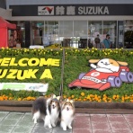 メロディ＆ミニーの写真館
