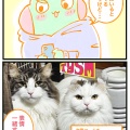 【写真あり】一緒にいると“似てくる”と言うけど、、