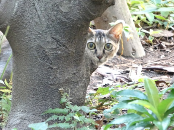 守るべきものとそうでないもの　20251029