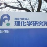 理研も震える「小保方晴子の大逆襲」