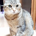 今日はブログお休みします