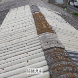 『大波明り取り張替え工事』の画像