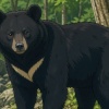 警官がクマに襲われ怪我、付近で1人の遺体発見　始まったか