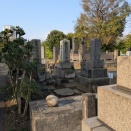 亀田鵬斎流書法の系譜