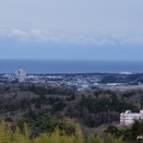 いわき市フラワーセンター　2026.2.11（水）