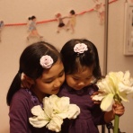 La vilaine Lulu + Rose