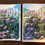 苦手な…細かくて沢山「紫陽花」続編。そして次は紅葉だ！ : 水彩的生活