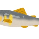【レシピ】親戚から生の鮎をいただいたんだけどどう料理したらいいのかわからない！魚捌けないんだけど料理できる？