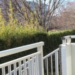 ブライス大好き　ぐたらの五七五日記　　