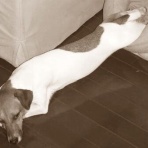 まるとお散歩DIARY