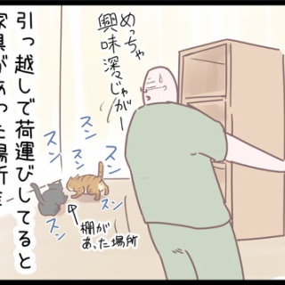 ネコ飼いの飼いネコまんが ねこボイ