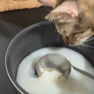 ぱずたんのお誕生日御膳