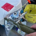 風仁丸さんで太刀魚釣り