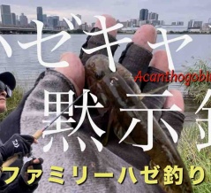 【9.27淀川のハゼ釣り】淀川ファミリーハゼ釣り大会 ハゼキャロ連発！柳川でおいしく！
