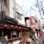 江戸川の畔（ほとり）