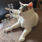 moroのハンドメイド