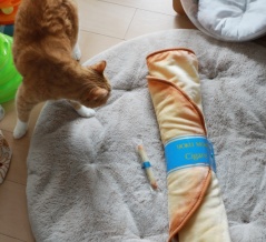 くるくるシガールブランケットと猫ら。