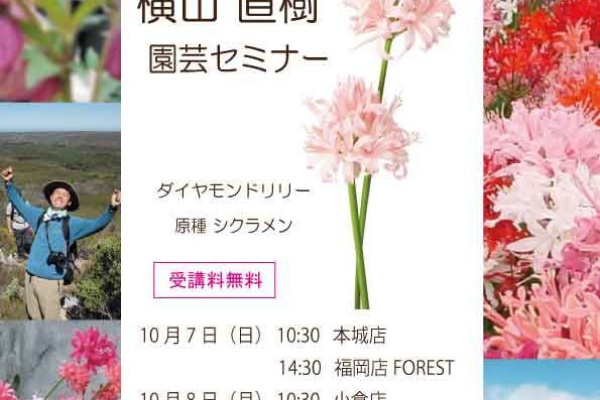 平田ナーセリー福岡東店forest 新宮町