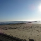 シーズンは終わりへm(__)m