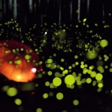 �ҥ�ܥ��������