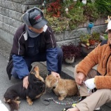 『今日のできごと』の画像