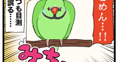 【店員が悪い】カゴの中の止まり木の位置が………………