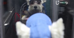 初めての帽子と、初対面の犬（？）