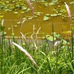 いつも居留守の　在氣呂（imasu_kero）のblog