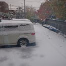 今週末は・・・・