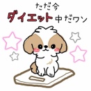 ダイエット2日目